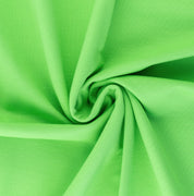 French Terry (ungeraut) 300g/m² Hellgrün - Coupon