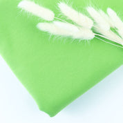 French Terry (ungeraut) 300g/m² Hellgrün - Coupon